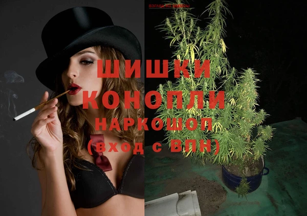 apvp Белокуриха